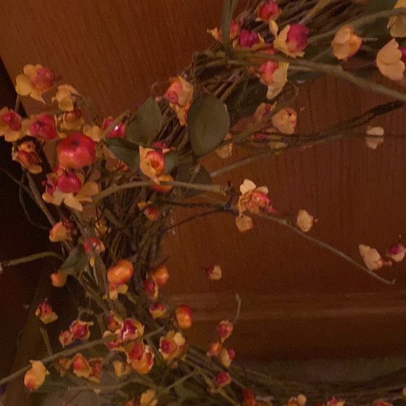 Bittersweet Twig Wreath - Picture 2 of 5